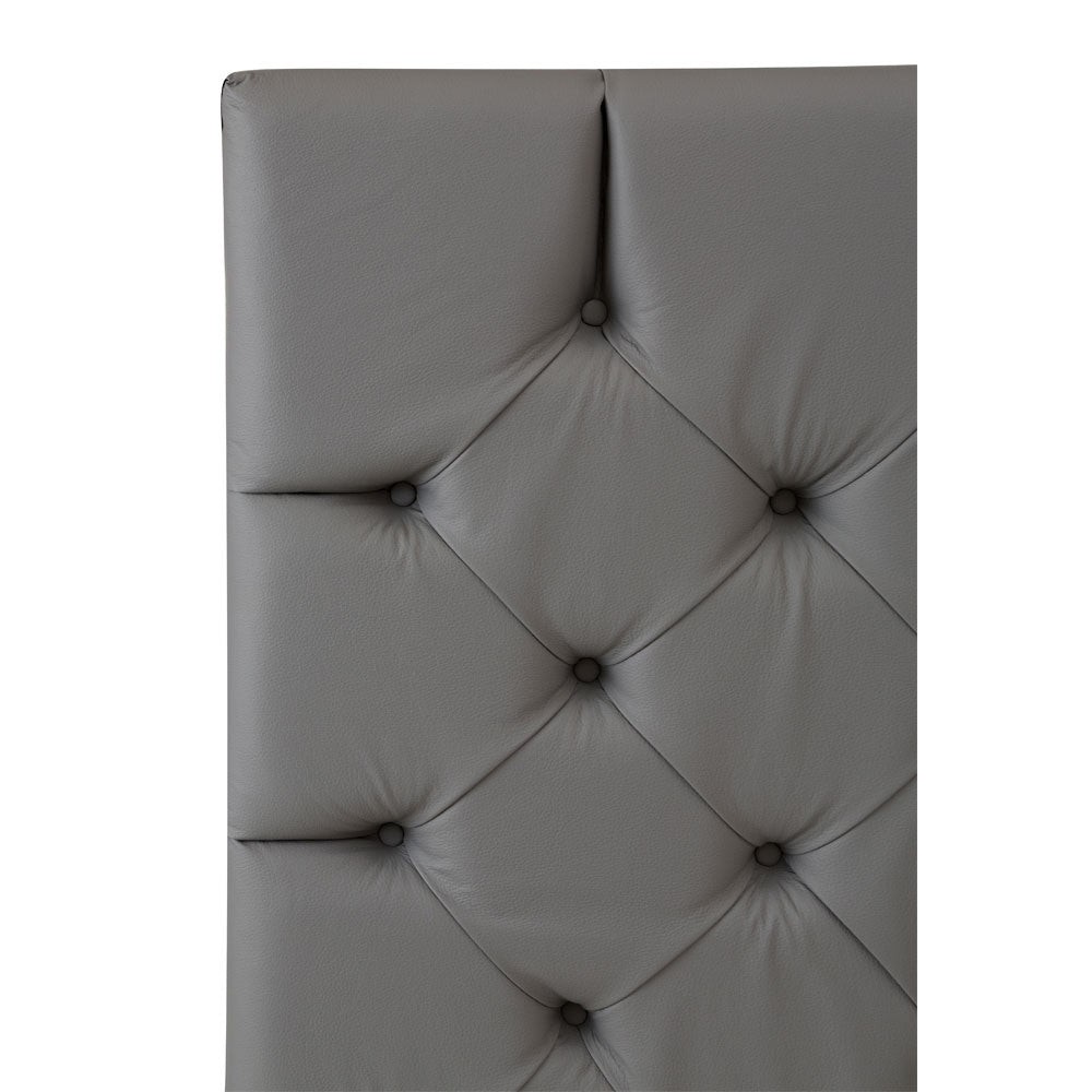 Cabecera Dicasa Vinipiel