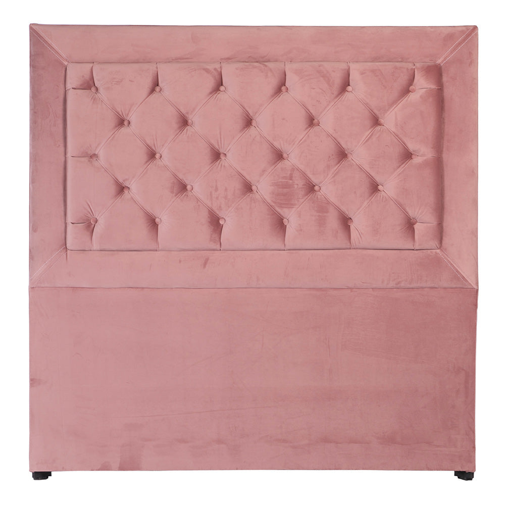 Cabecera Dicasa Mary