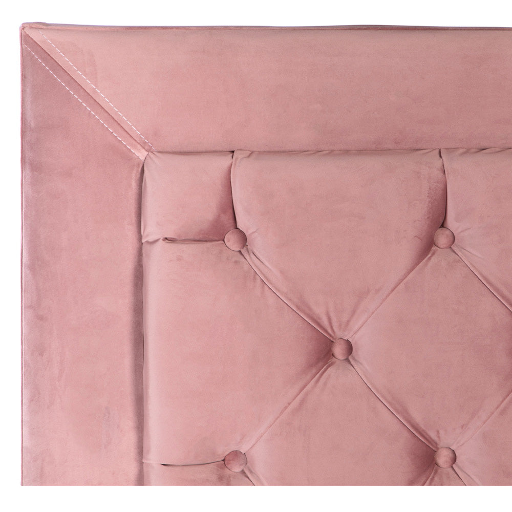 Cabecera Dicasa Mary