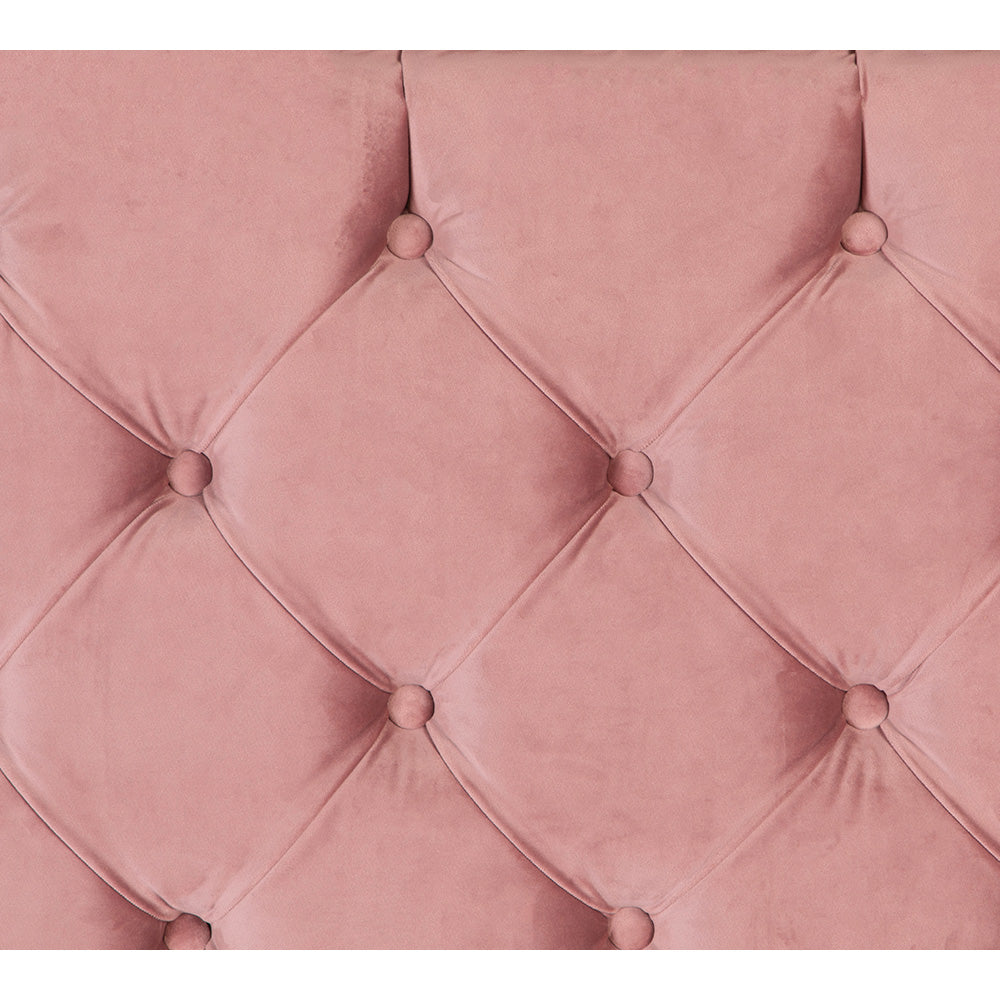 Cabecera Dicasa Mary