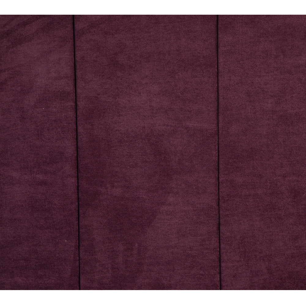 Cabecera Dicasa Nizza