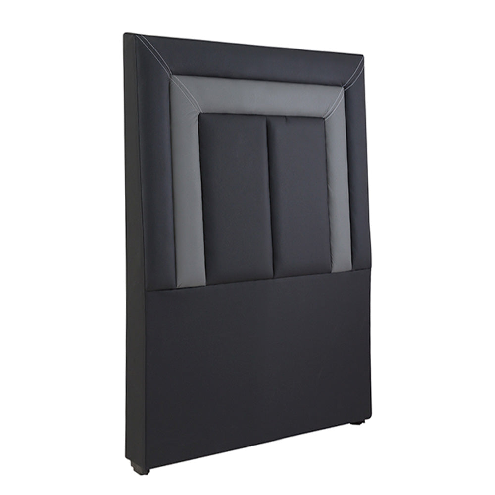 Cabecera Dicasa Vinipiel